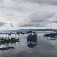 抚仙湖大知闲闲民宿·掌间 User Photo