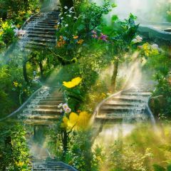 GOLD GARDEN User Photo