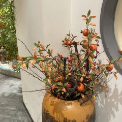 荷悅江南宴張用戶圖片