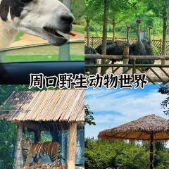 穆彦华逍遥镇胡辣汤(岗坡路店) User Photo