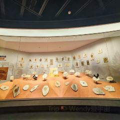 浴柳排骨蒸饺(五一街店) User Photo