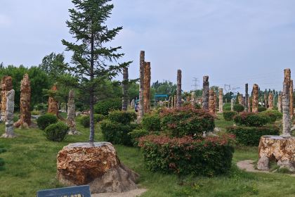 徐师傅太子锅(五中店)