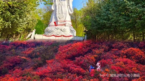 chang shou shan guo jia sen lin gong yuan