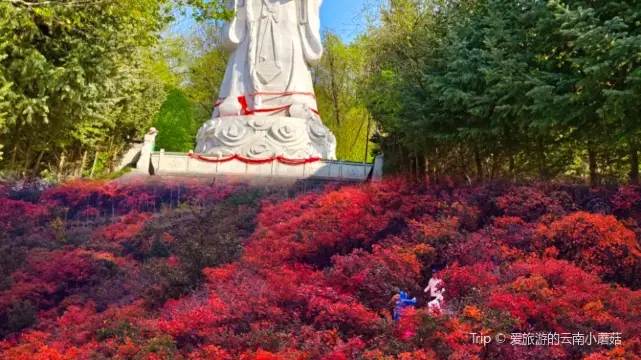 chang shou shan guo jia sen lin gong yuan