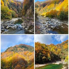 南江黄羊汤锅城 User Photo