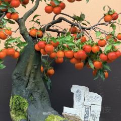 聚味轩酒楼(东升街店) User Photo