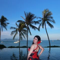 Sabienglae lamai張用戶圖片