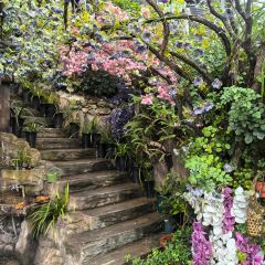 幽兰落 User Photo