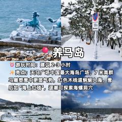 90 Sea Mile User Photo