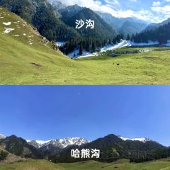 ZHENG FEI DAIRY User Photo