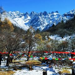 遇见音乐餐吧 User Photo