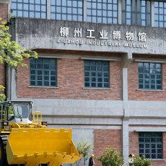 Weiweimushugeng User Photo