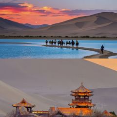 杨老七羊肉粉汤 여행 사진