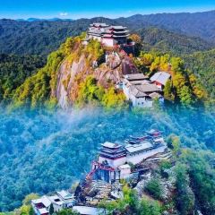 邓氏大薄片 User Photo