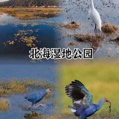 有芬餐馆 여행 사진