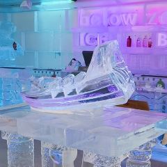 Below Zero Ice Bar User Photo