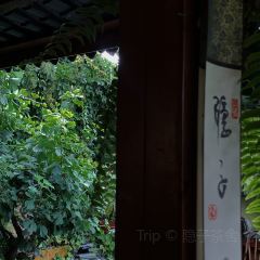 隐子茶舍 User Photo