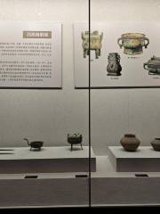 臨泉博物館