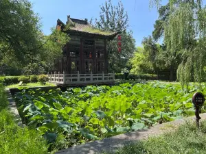 xin jiang xian jiang zhou shu jing qu