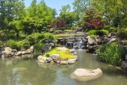 缘一閣·湖景本帮菜(灵山景区拈花湾店)