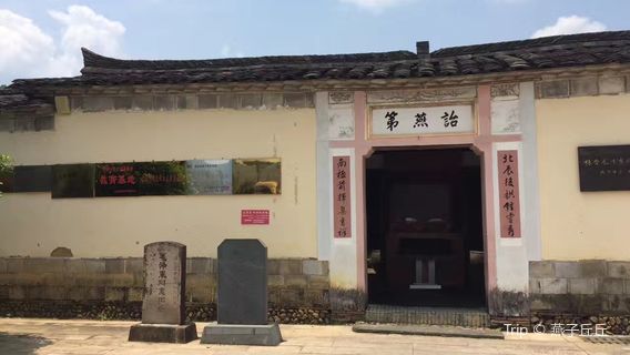 qing liu lin she hong se xiao zhen