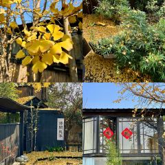 误会·庭院 User Photo