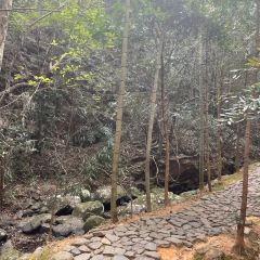 丫山农家乐 User Photo