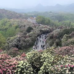 烙鍋小院張用戶圖片
