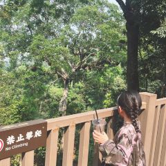 简聿咖啡 User Photo