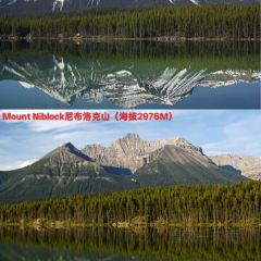 Lake Louise Village Grill & Bar ảnh của người dùng
