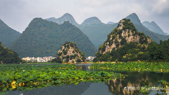 Qingqiu