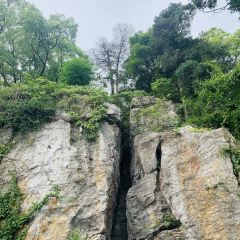 無錫魯能萬豪飯店·萬豪中餐廳張用戶圖片