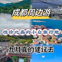 TOMATO MASTER User Photo