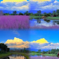 骆大姐手摊凉粉 User Photo