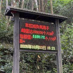 姑婆山三姐故事森林温泉美宿·花絮.三姐故事新氧美食馆 User Photo