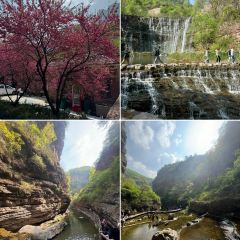 桃花嫂子 User Photo