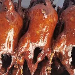 Zhengji Chuanchuanxiang User Photo