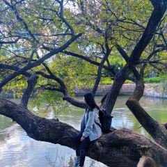 村边·合CAFE User Photo