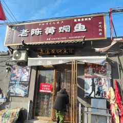 四代祖传老陈黄焖鱼(维中后街店) User Photo