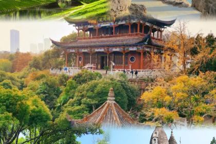 BALI CRAYFISH DELICIOUS