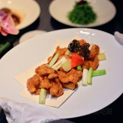 STAR OF PU User Photo