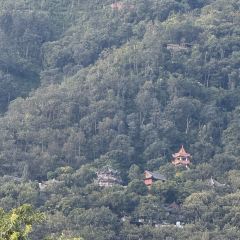 西昌術下飯店（邛海濕地公園月色風情小鎮店）·餐廳張用戶圖片
