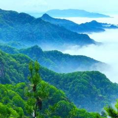 敦贤居农家乐 User Photo