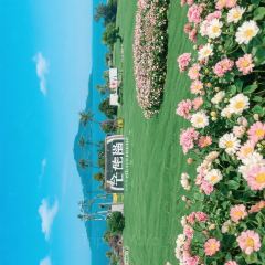 YONG SHANG WAI PO QIAO User Photo