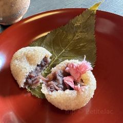Kōdaiji Jūgyūan 여행 사진