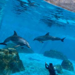 海鲜大咖(杏林西区店) User Photo