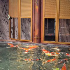 问山海 User Photo