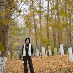 宝马生态农庄·柴火鸡(宝马店) User Photo