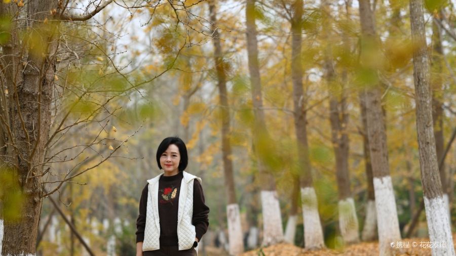 宝马生态农庄·柴火鸡(宝马店)