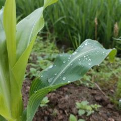 王家大院民宿餐饮 User Photo